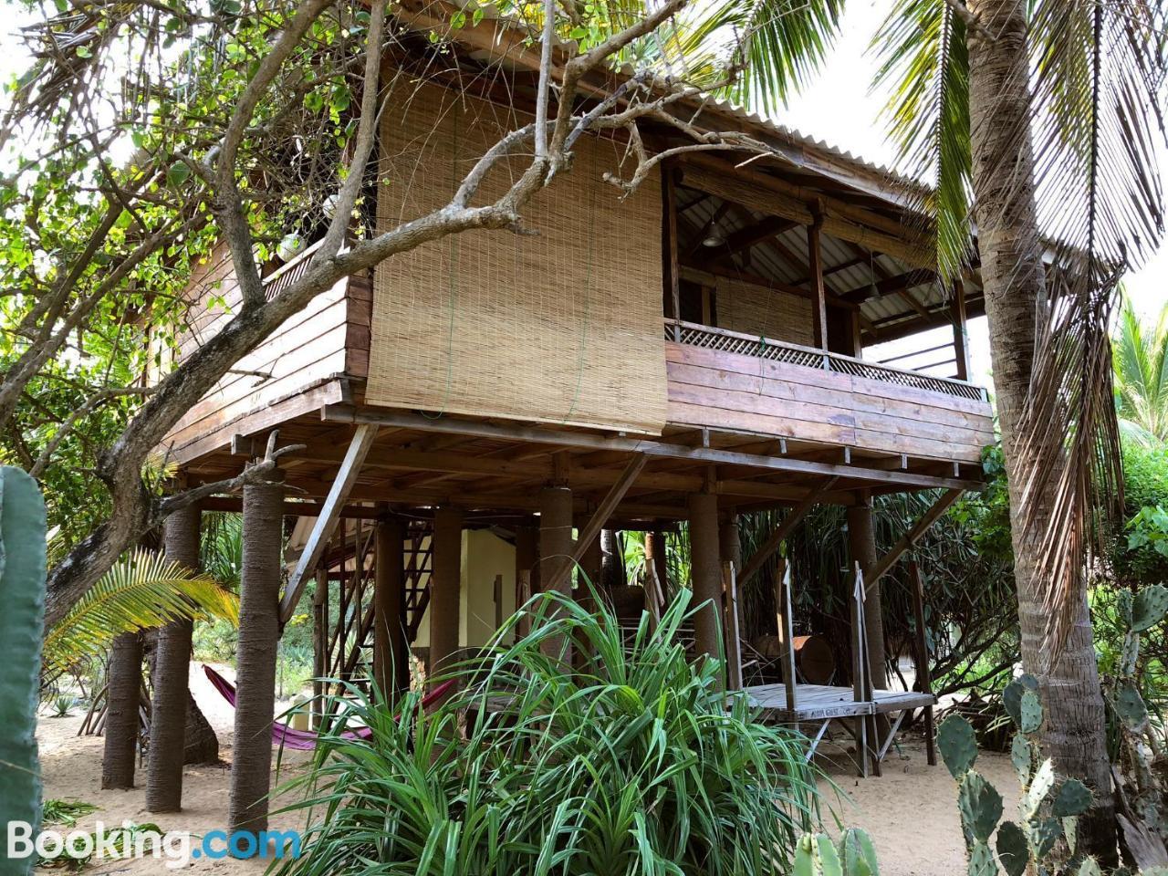 Albero Cabanas Arugam Bay Exteriör bild