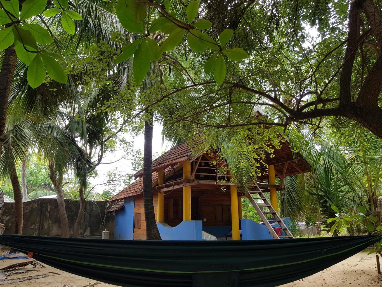 Albero Cabanas Arugam Bay Exteriör bild