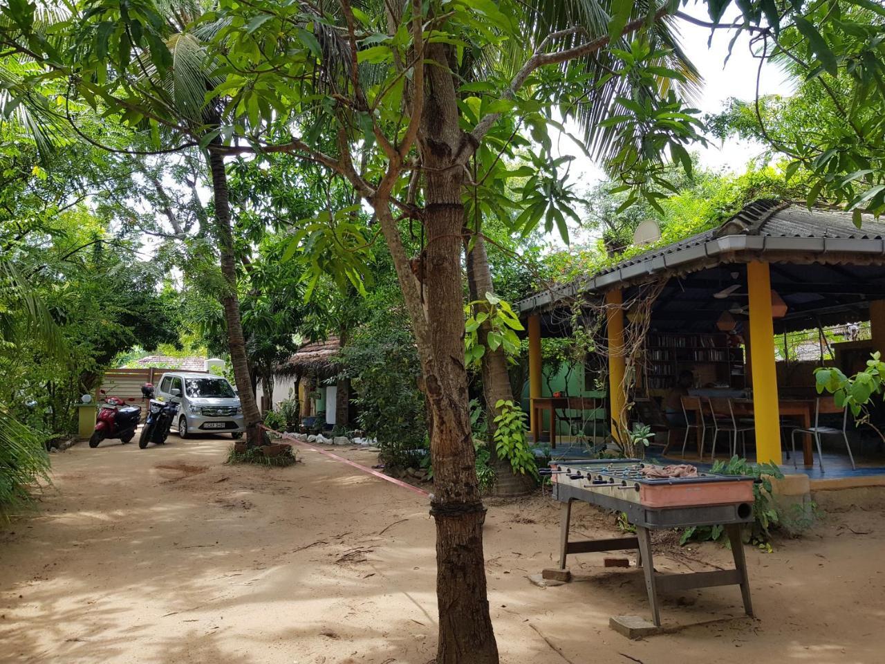 Albero Cabanas Arugam Bay Exteriör bild