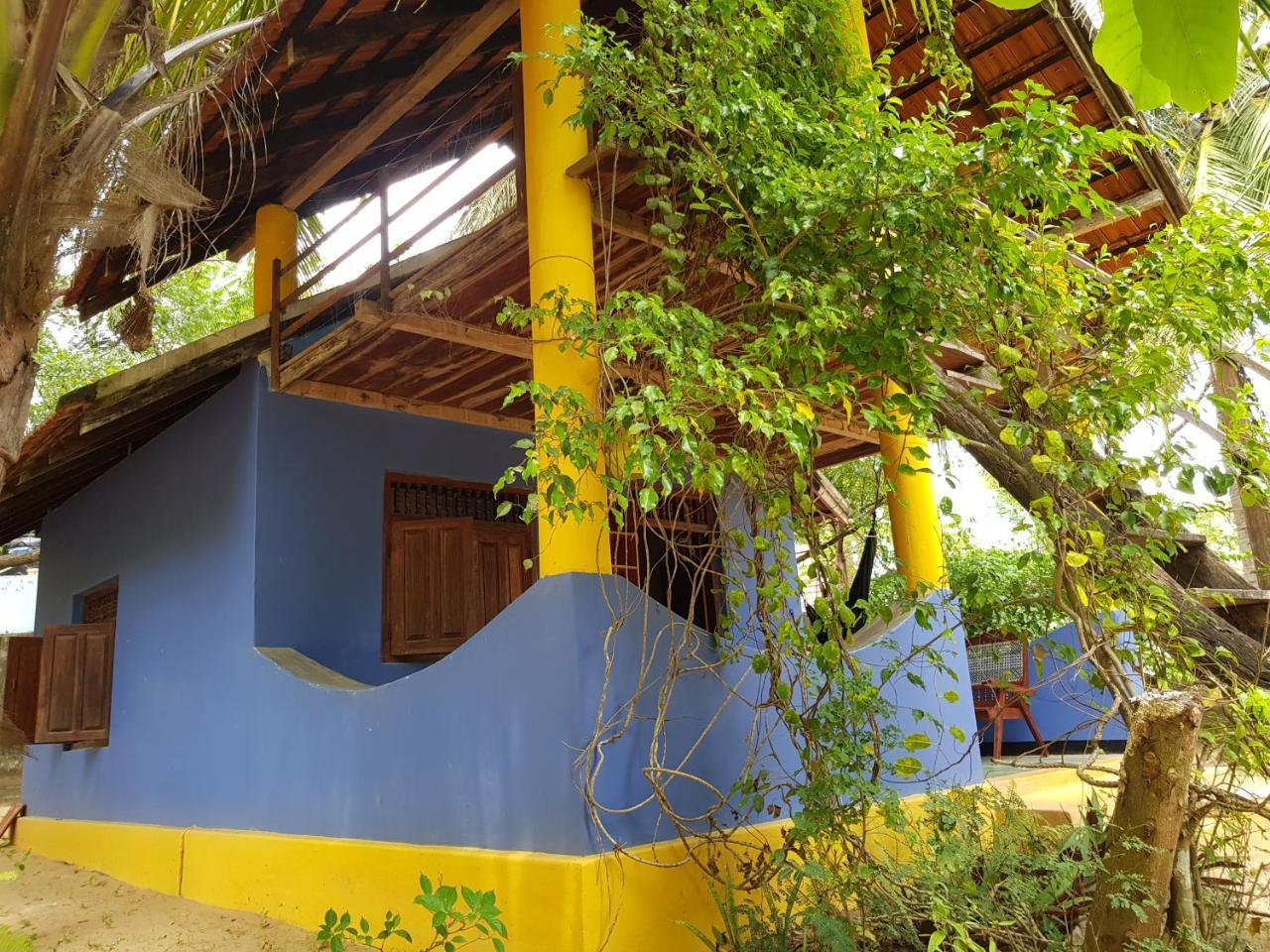 Albero Cabanas Arugam Bay Exteriör bild
