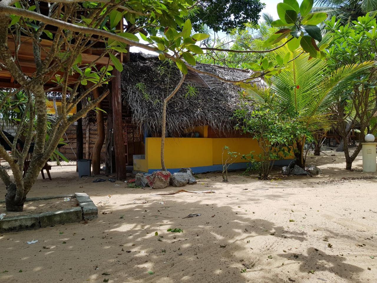 Albero Cabanas Arugam Bay Exteriör bild