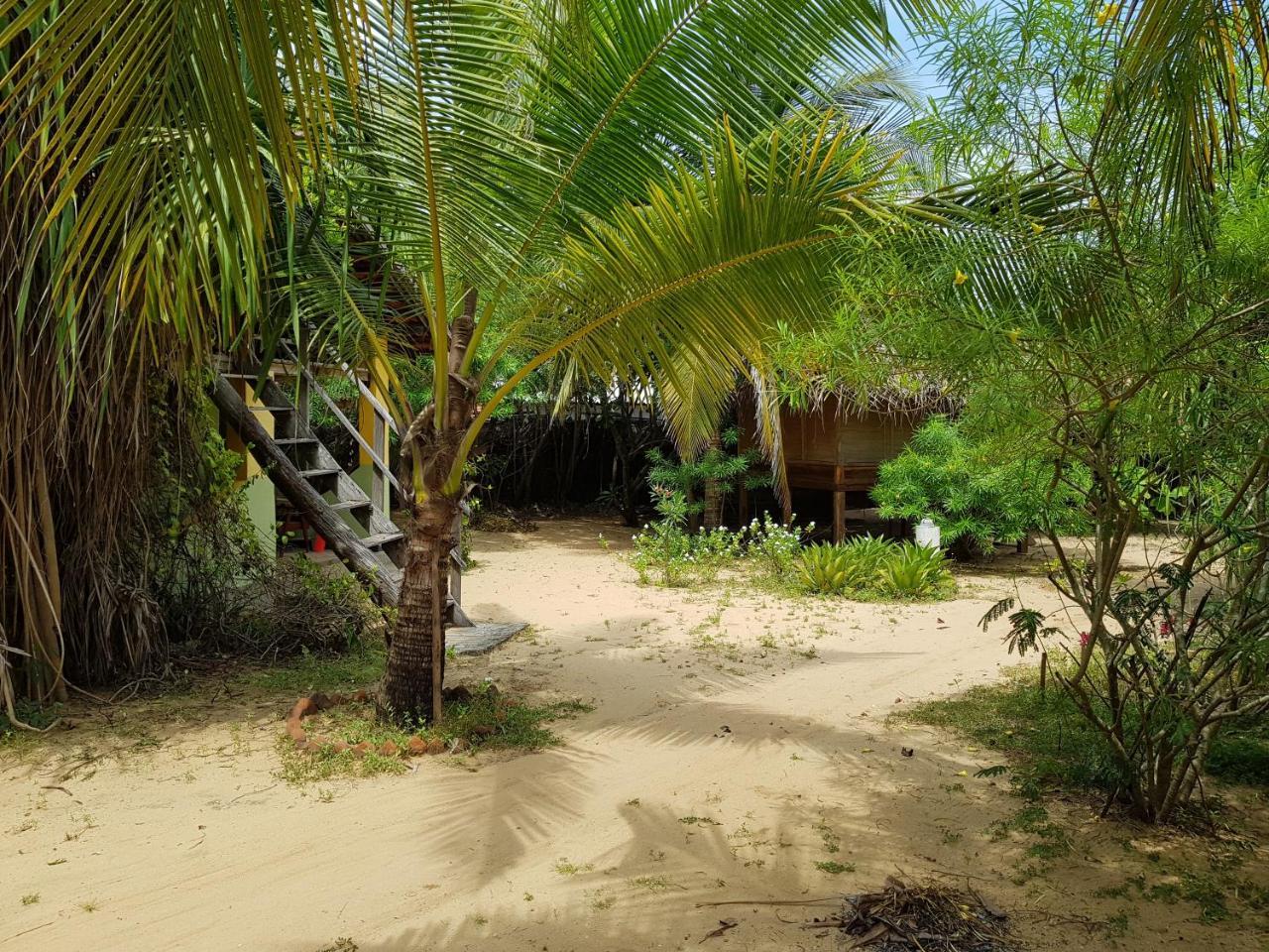 Albero Cabanas Arugam Bay Exteriör bild