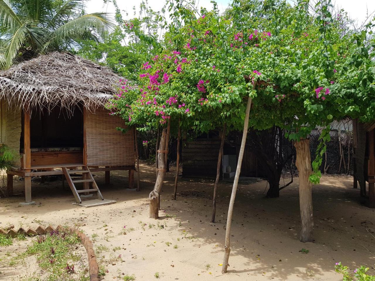 Albero Cabanas Arugam Bay Exteriör bild