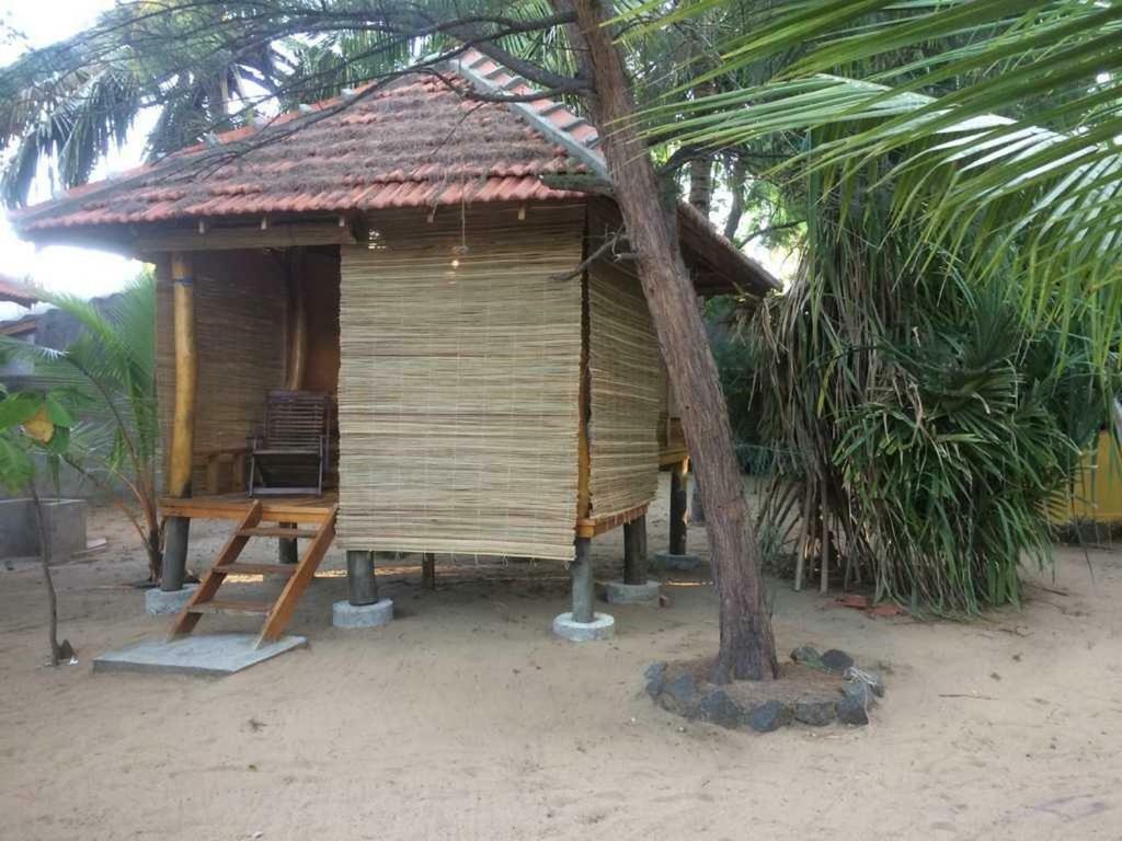 Albero Cabanas Arugam Bay Rum bild